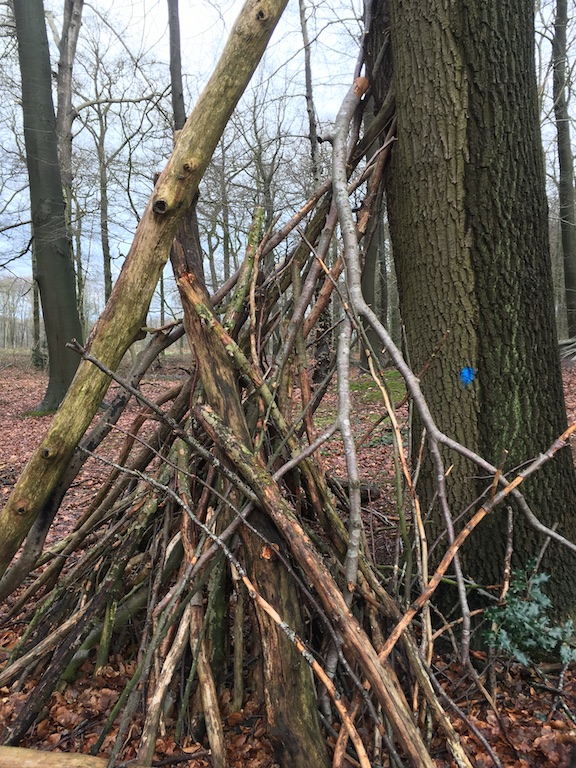 Ongebruikt De boom met de blauwe stip en een nieuwe hut – Karen Molenaar XT-06